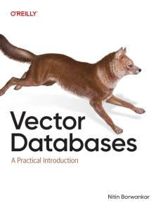 Vector Databases A Practical Introduction (Nitin Borwankar)（Z-Library）