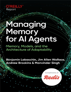Managing Memory for AI Agents (for Duc Ka) (Benjamin Labaschin, Jim Allen Wallace etc.) (Z-Library)