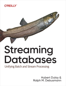 Streaming Databases Unifying Batch and Stream Processing (Hubert Dulay, Ralph M. Debusmann) (Z-Library)
