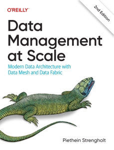 Data Management at Scale Modern Data Architecture with Data Mesh and Data Fabric - 2nd Edition (Piethein Strengholt) (z-library.sk, 1lib.sk, z-lib.sk)