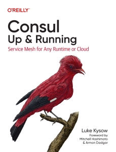 Consul Up  Running Service Mesh for Any Runtime or Cloud (Luke Kysow) (Z-Library)